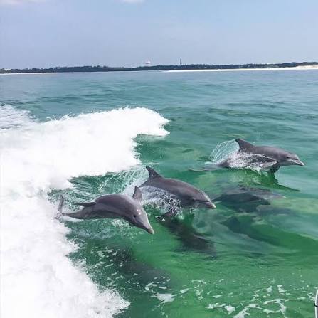 Exploring nature in Key West