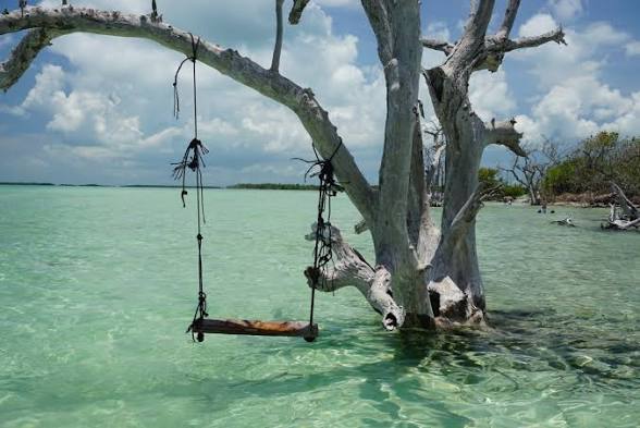 Wading in waist-deep water on sandbar tour