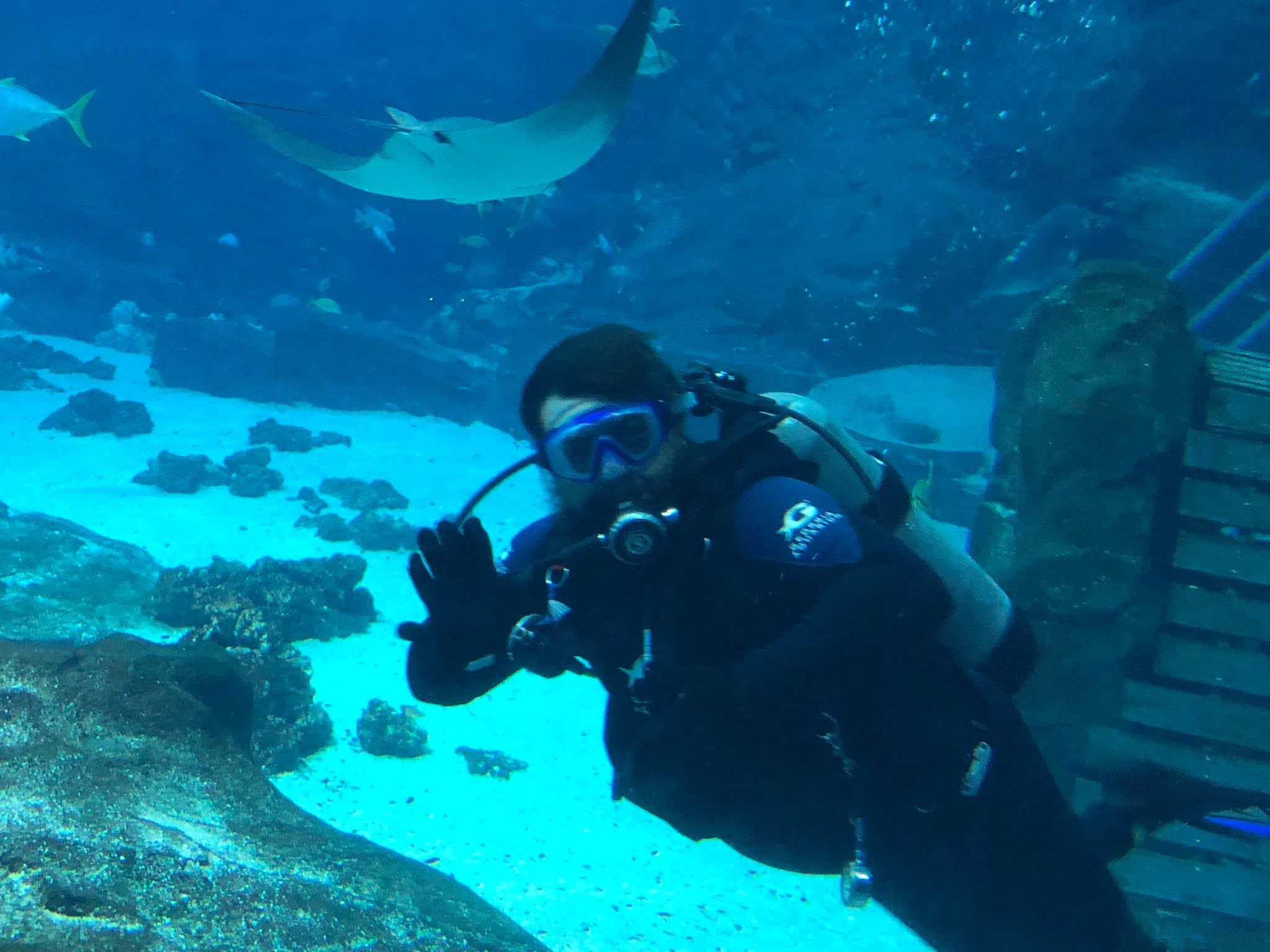 Diver exploring Florida Keys coral formations