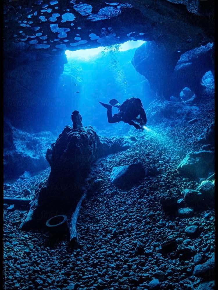 Underwater marine habitat