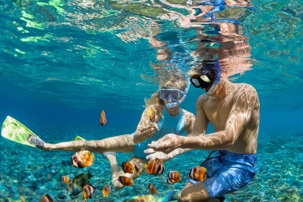 Underwater marine life Key West